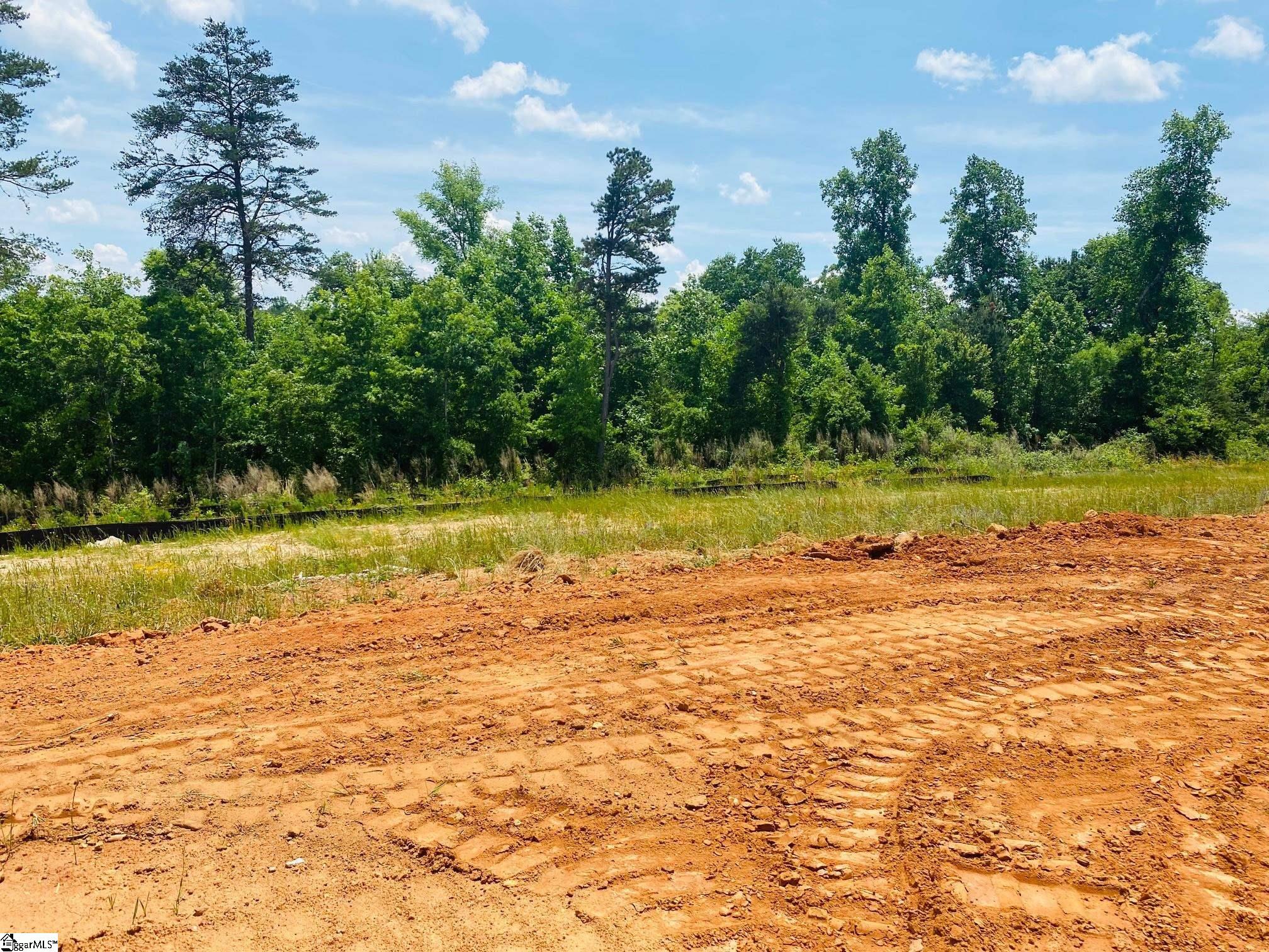 582 New Cut Meadows Road, Unit HOMESITE 45 Inman, SC 29349 - Photo 3 of 15 Gallery Image 3