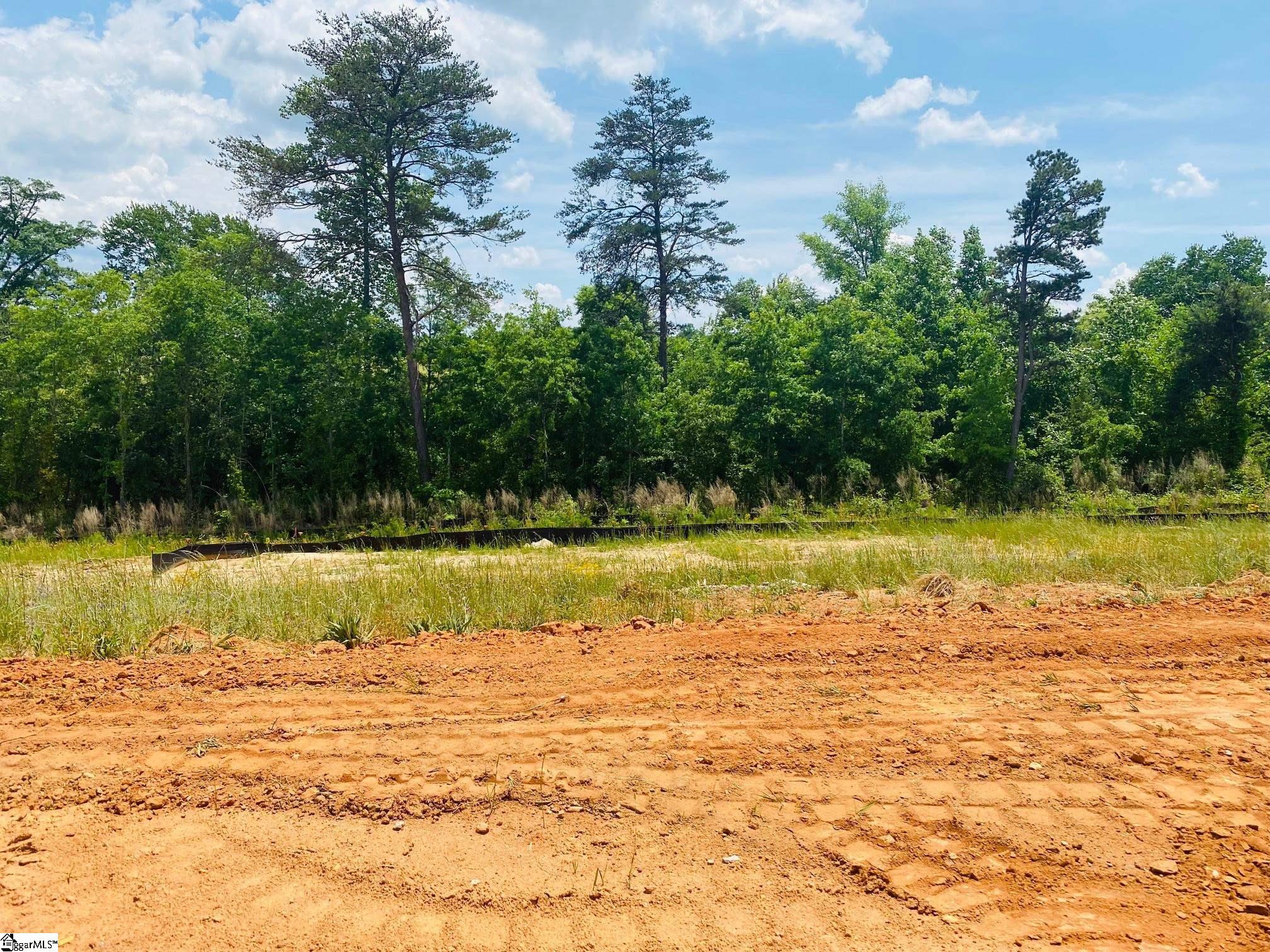 582 New Cut Meadows Road, Unit HOMESITE 45 Inman, SC 29349 - Photo 4 of 15 Gallery Image 4