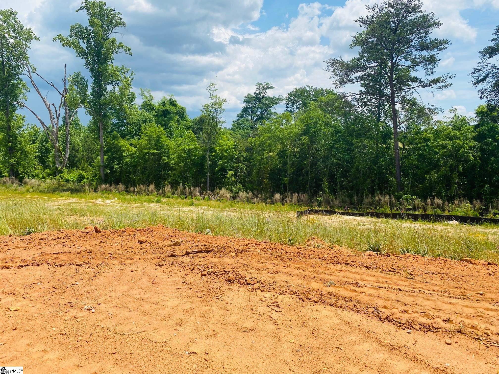 582 New Cut Meadows Road, Unit HOMESITE 45 Inman, SC 29349 - Photo 5 of 15 Gallery Image 5