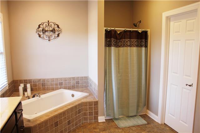 1871 Tummins Road McEwen, TN 37101 - Photo 13 of 18 Gallery Image 13