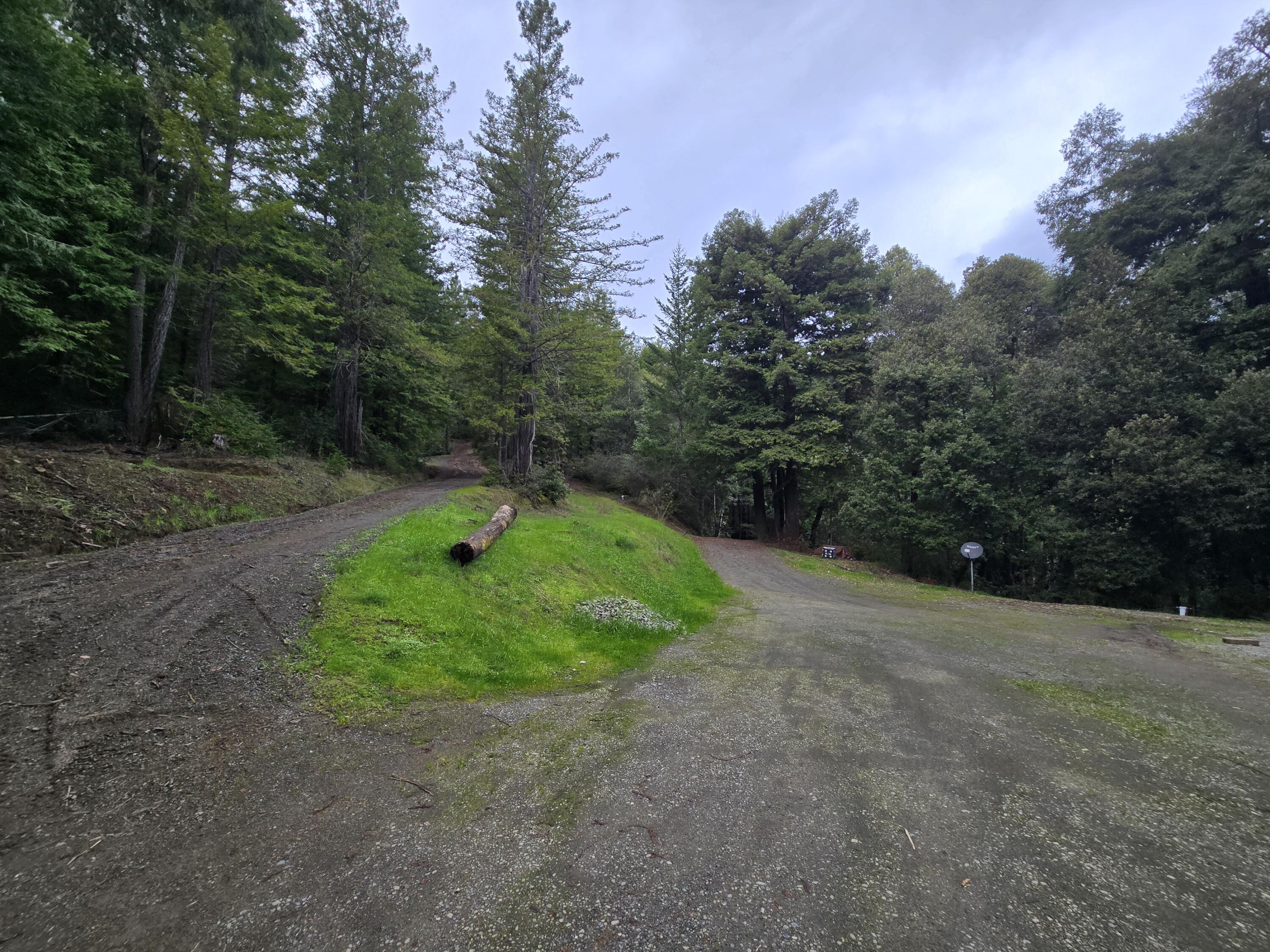 0 Sequoia Road Myers Flat, CA 95554 - Photo 11 of 36