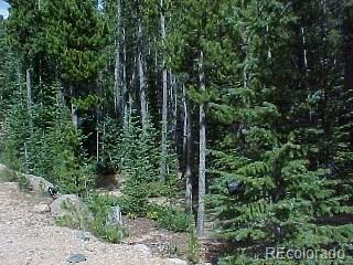 Lot 282 Lot Road Idaho Springs, CO 80452 - Photo 1 of 11 Gallery Image 1
