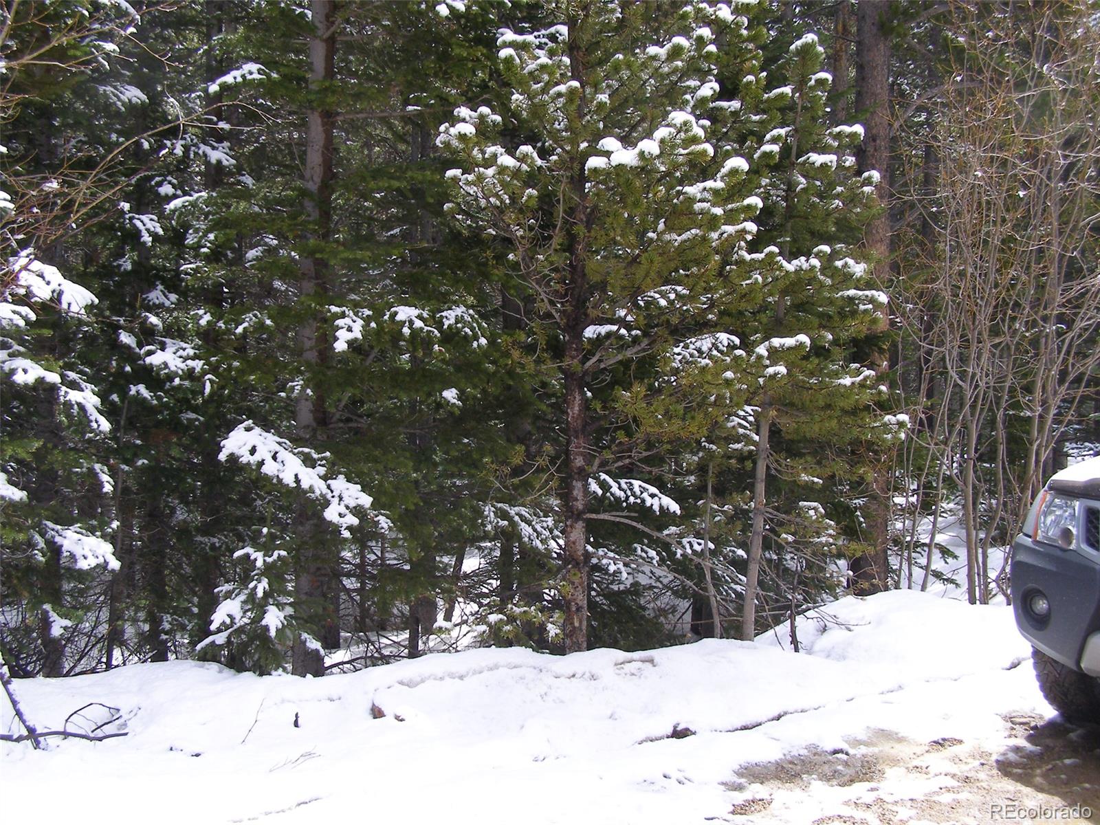 Lot 282 Lot Road Idaho Springs, CO 80452 - Photo 7 of 11 Gallery Image 7