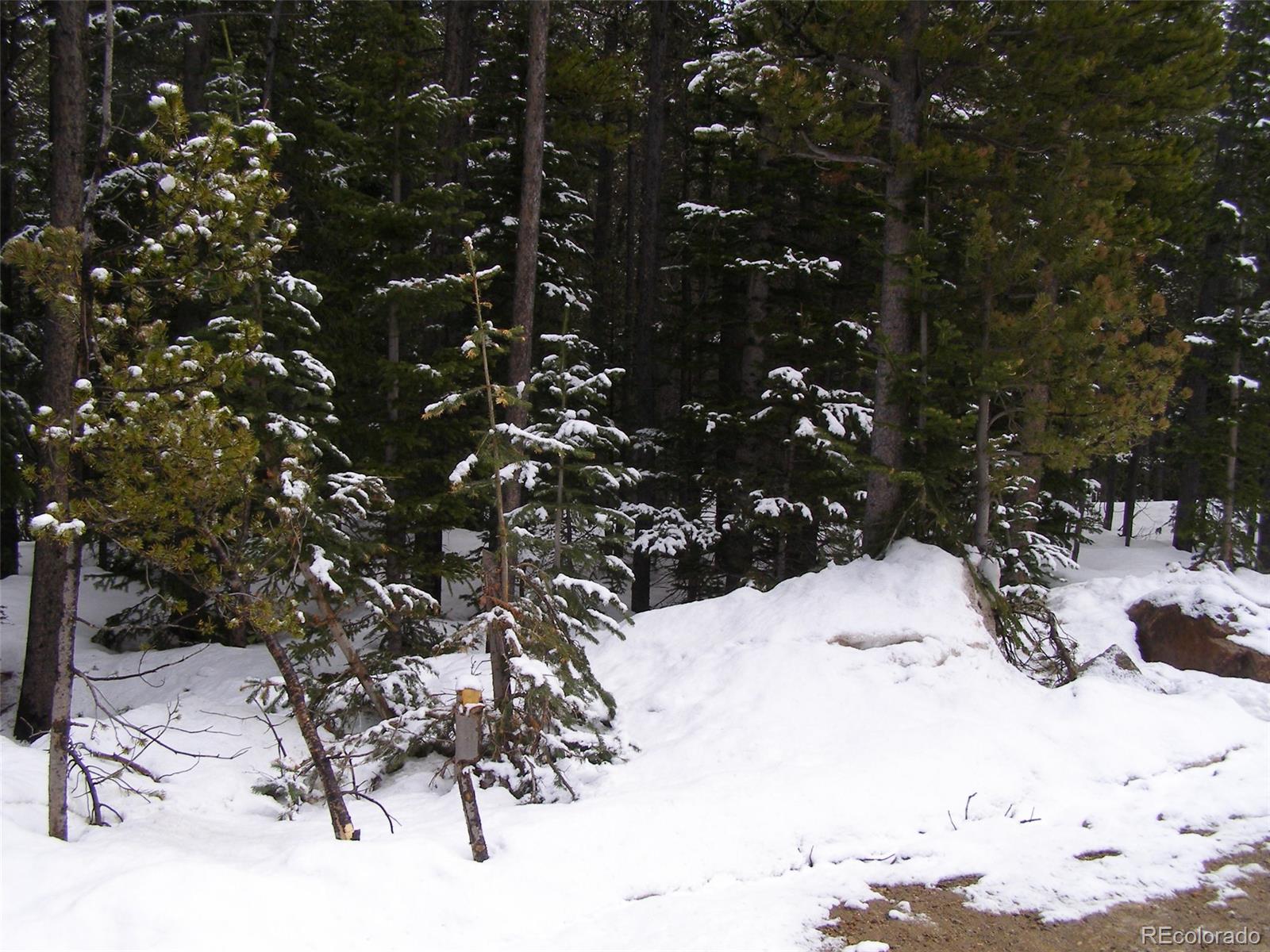 Lot 282 Lot Road Idaho Springs, CO 80452 - Photo 8 of 11 Gallery Image 8