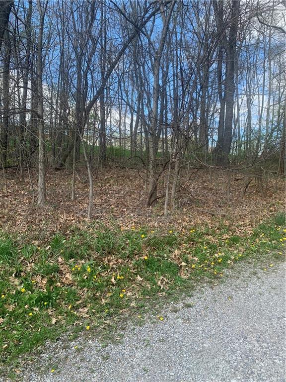 From Stonequarry Rd