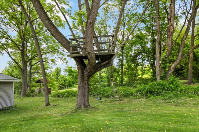 a big yard with large trees