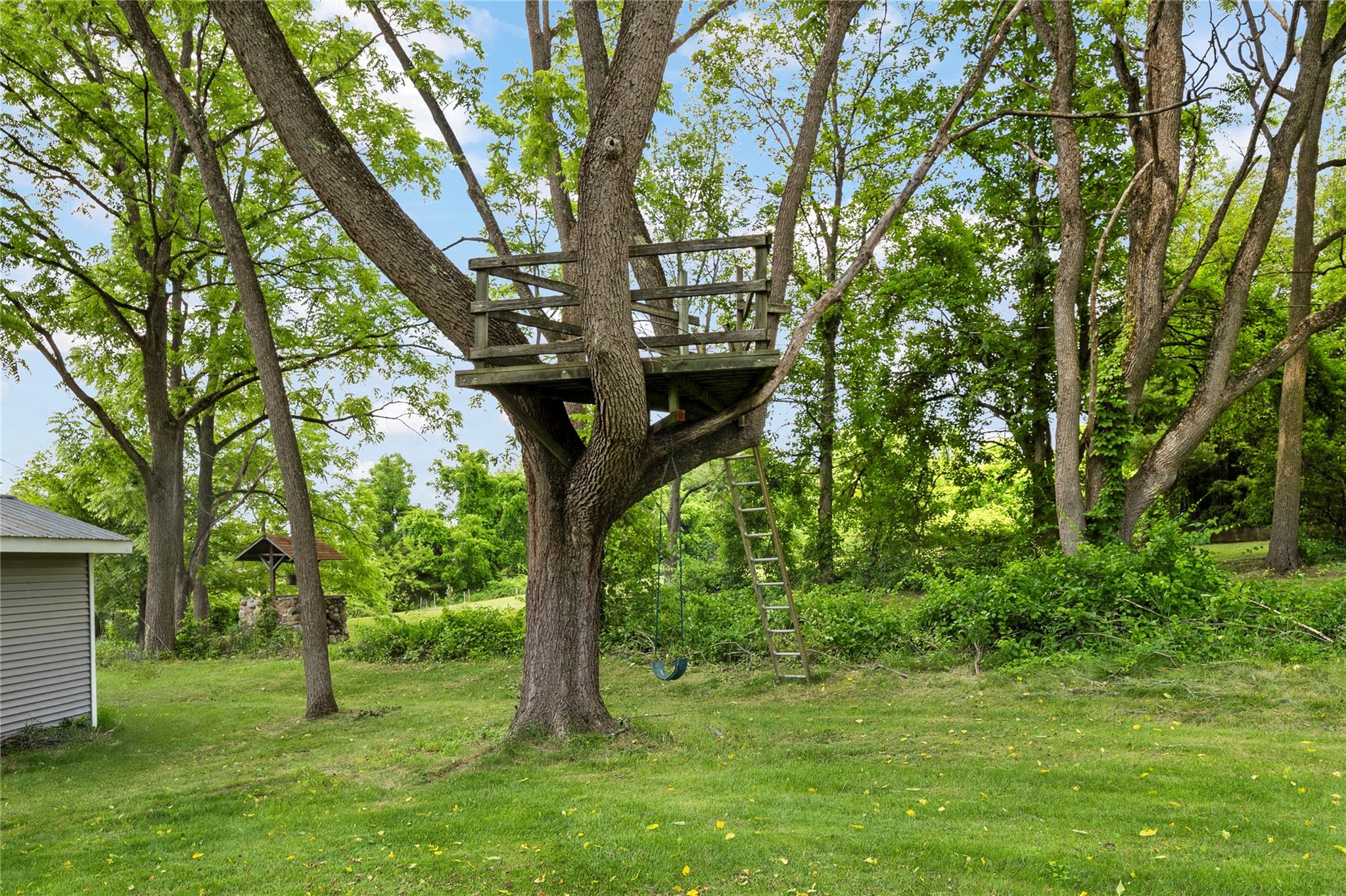 478 High Rock Road New Baltimore, NY 12124 - Photo 41 of 42 a big yard with large trees