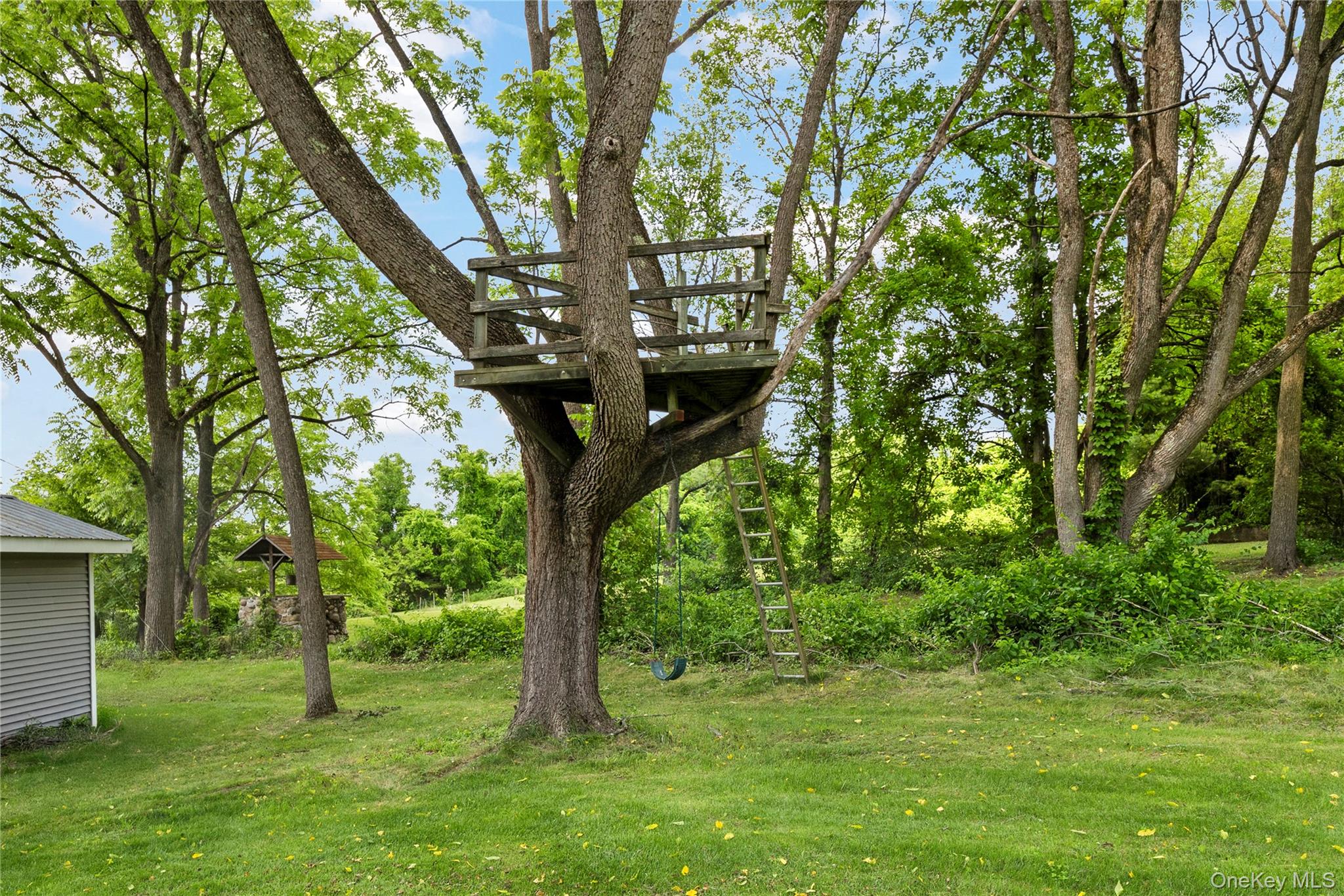 478 High Rock Road New Baltimore, NY 12124 - Photo 41 of 42 a big yard with large trees