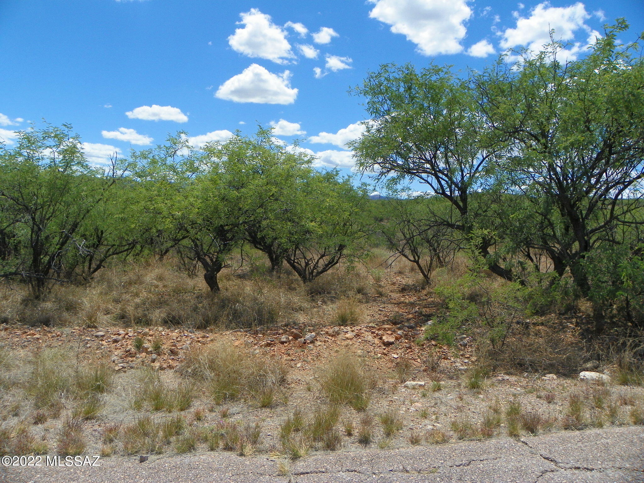 564 Paseo Palomino, Unit 30 Rio Rico, AZ 85648 - Photo 3 of 4 Gallery Image 3