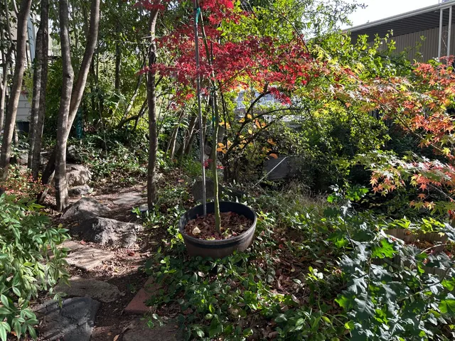 a kitchen with kitchen island a sink stainless steel appliances and cabinets
