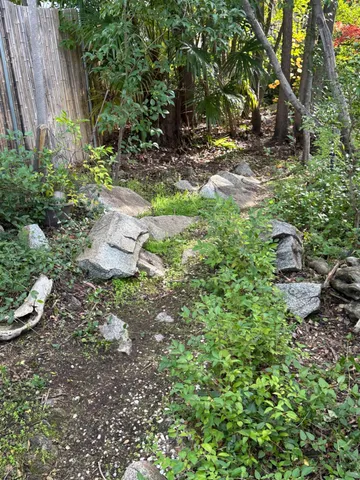 a house view with a garden space