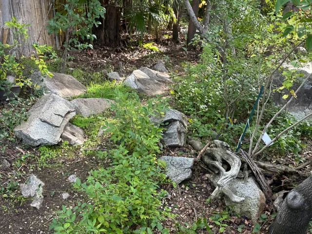 $199,500 | 6074 Coleman Drive, Newcastle, CA 95658