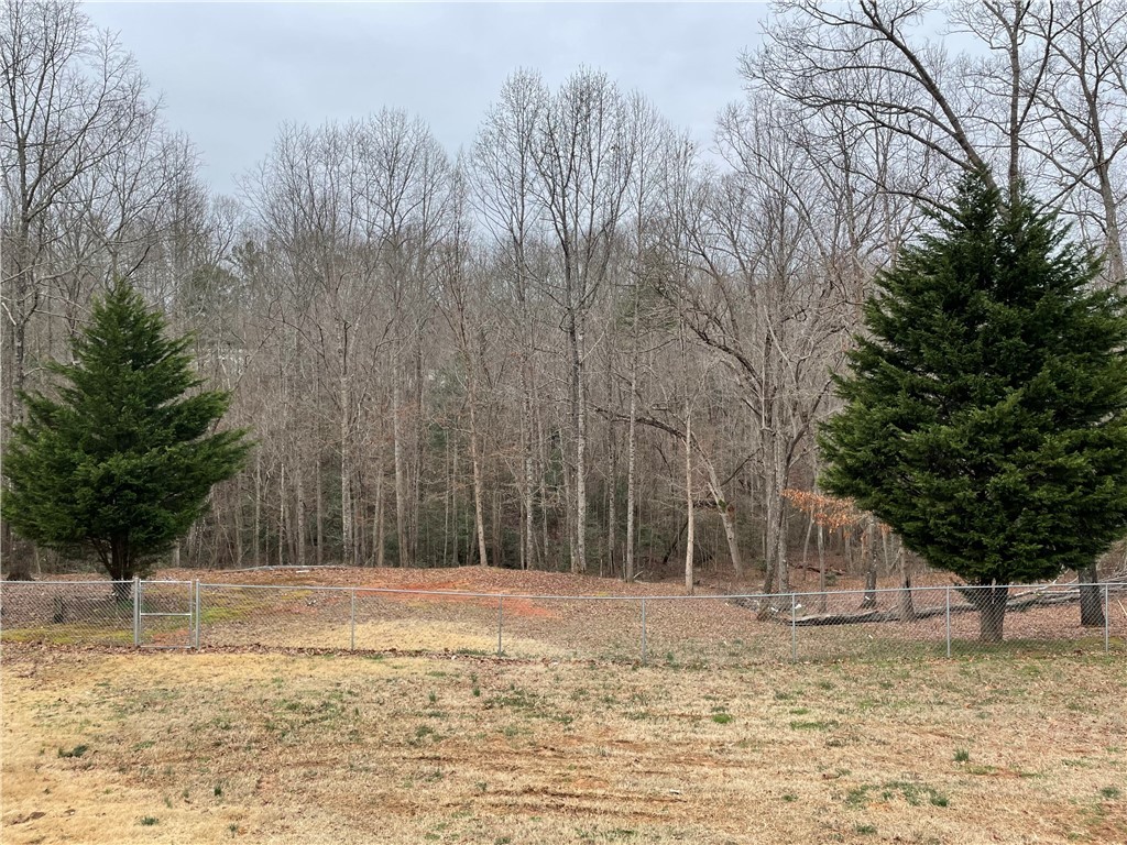 43 Coster Road Travelers Rest, SC 29690 - Photo 14 of 22