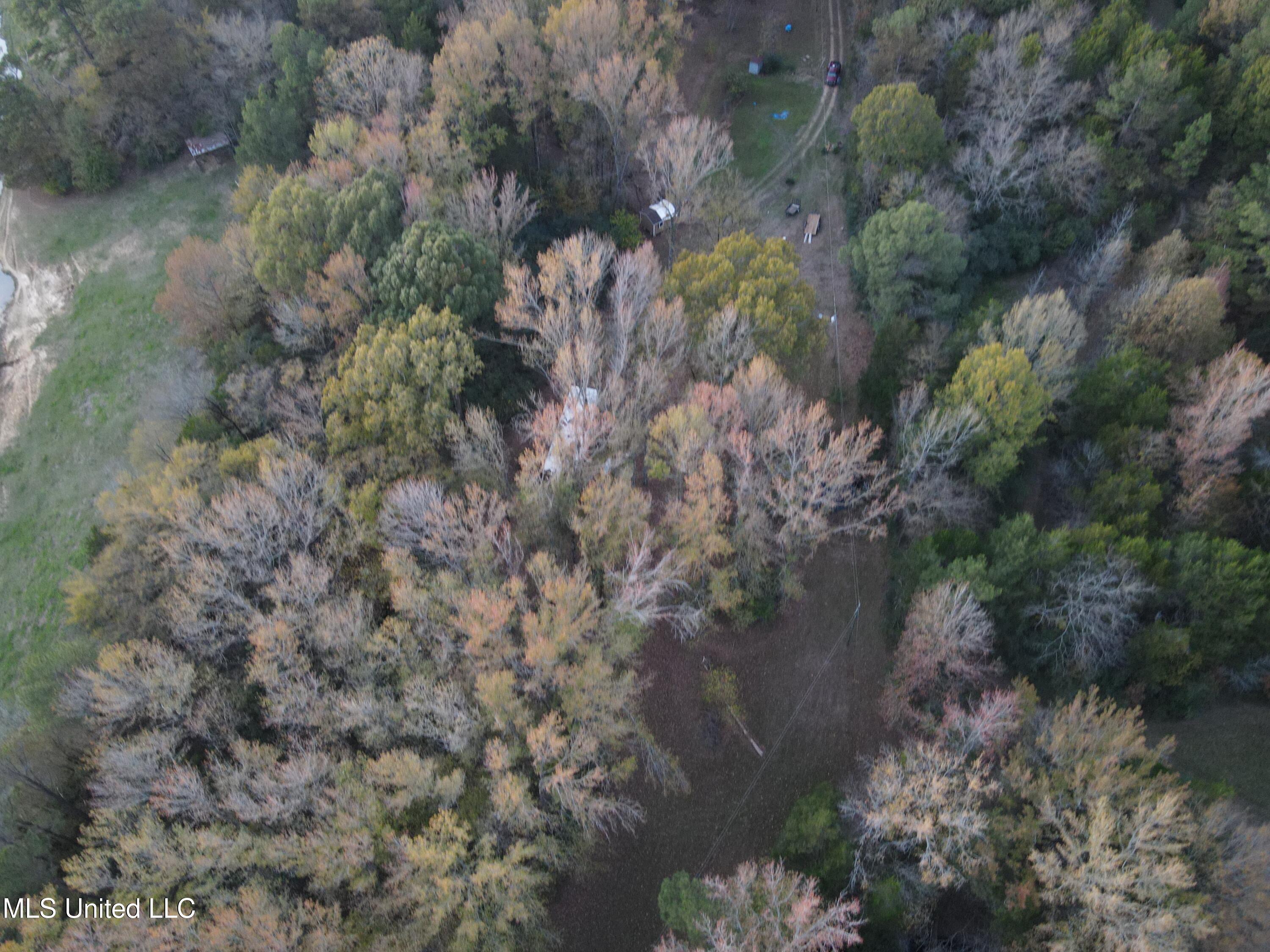 6830 McCracken Road Hernando, MS 38632 - Photo 16 of 18 DJI_0521