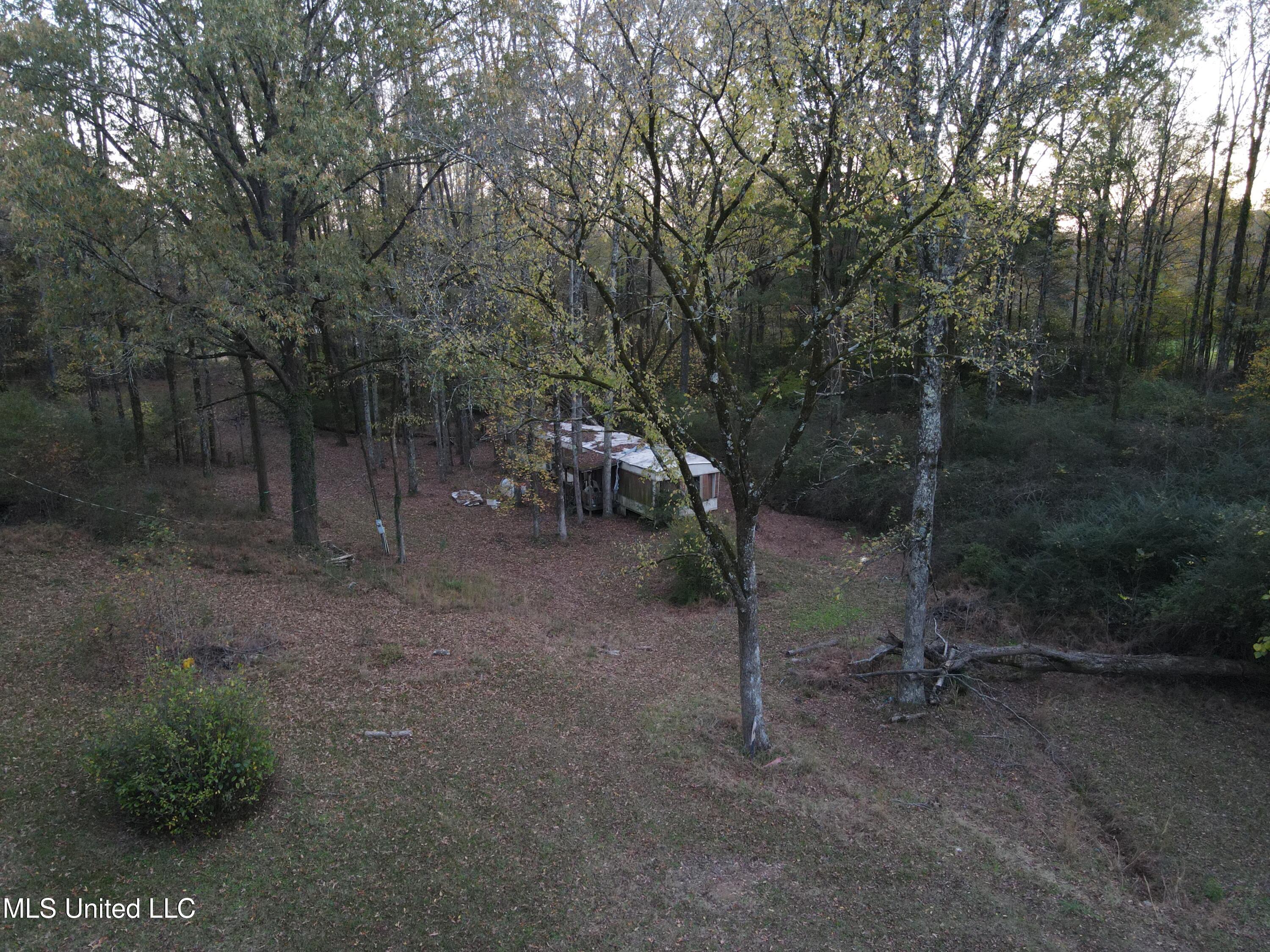 6830 McCracken Road Hernando, MS 38632 - Photo 6 of 18 DJI_0511