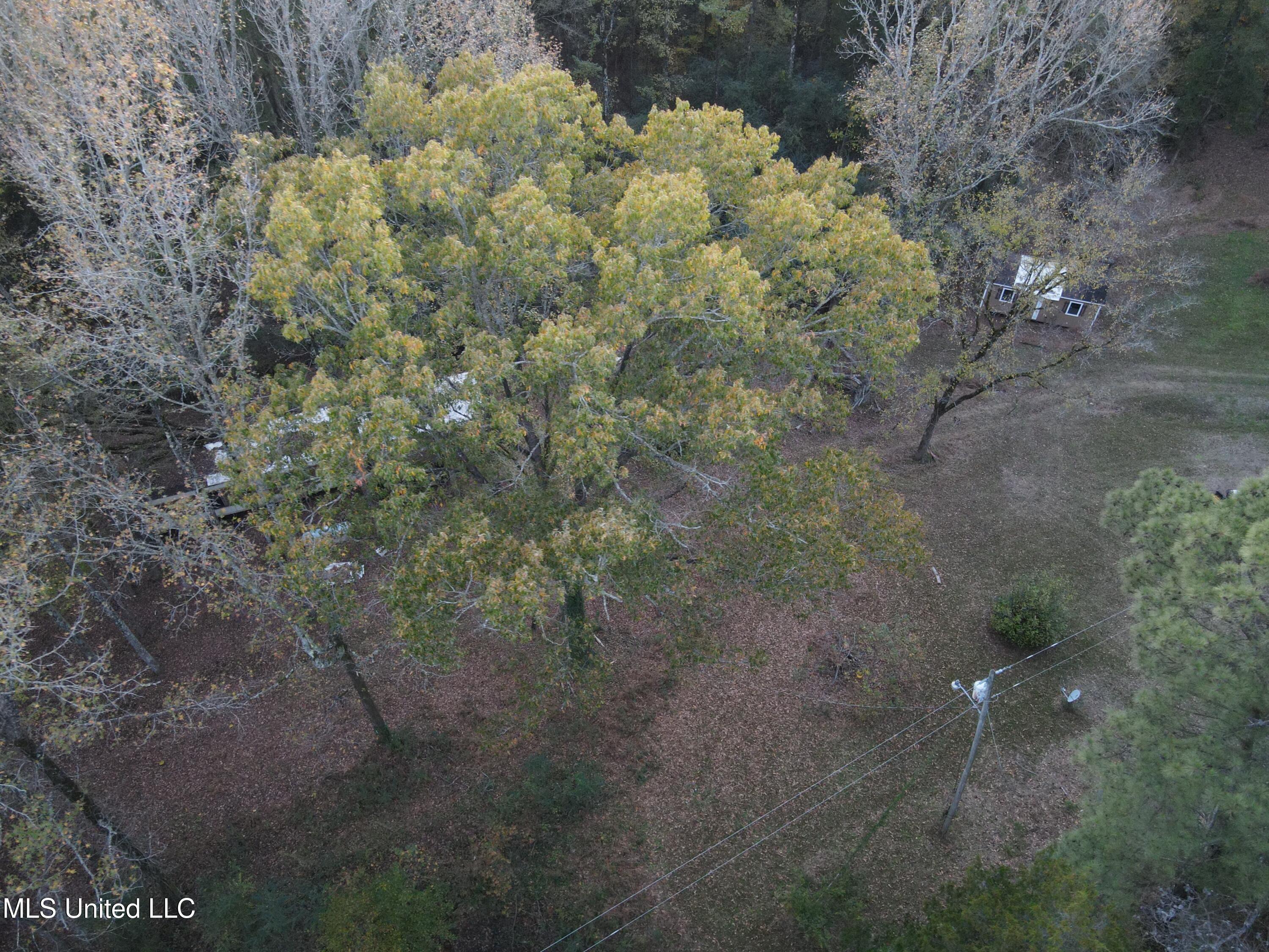 6830 McCracken Road Hernando, MS 38632 - Photo 10 of 18 DJI_0515