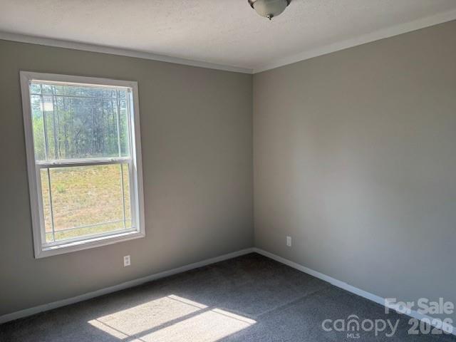 4360 Vein Mountain Road Nebo, NC 28761 - Photo 7 of 9