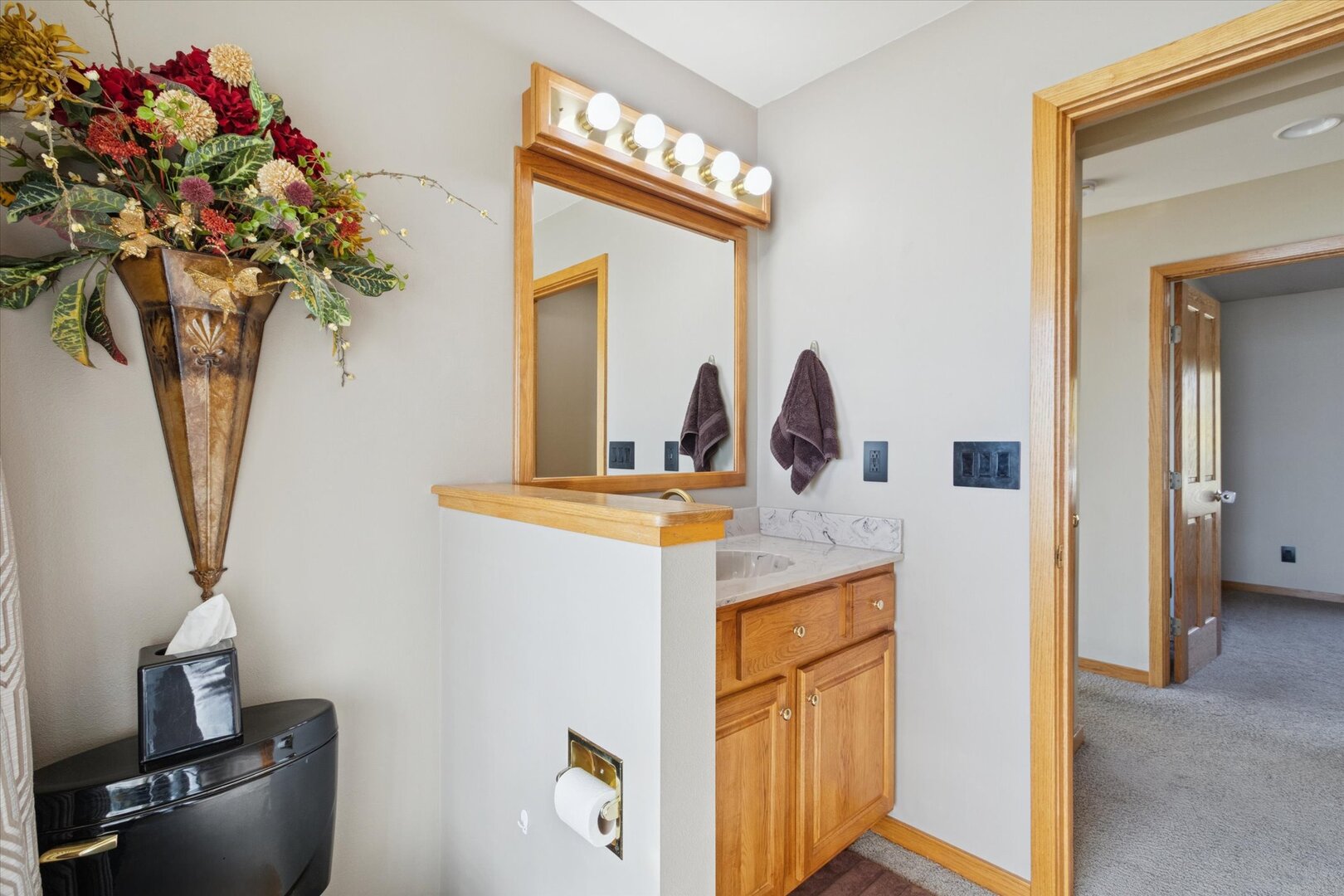 97 Highcrest Court Shannon, IL 61078 - Photo 36 of 58 a bathroom with a sink a vanity and a mirror