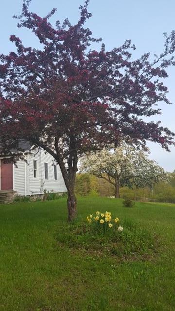 75 Soper Road Orland, ME 04472 - Photo 59 of 60 Mature Trees