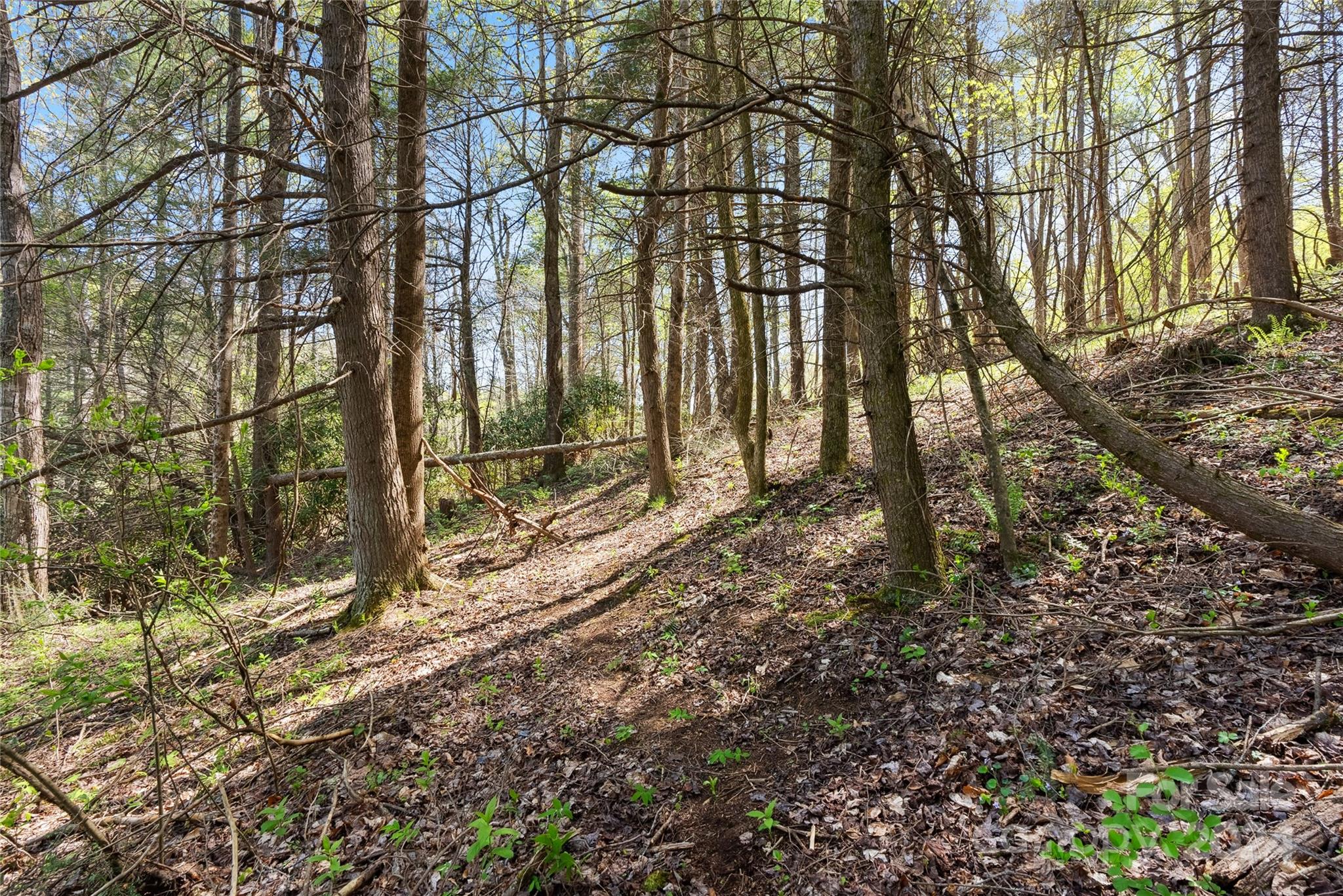 3262 Windswept Ridge Road Marshall, NC 28753 - Photo 37 of 39 a backyard of a house with lots of green space
