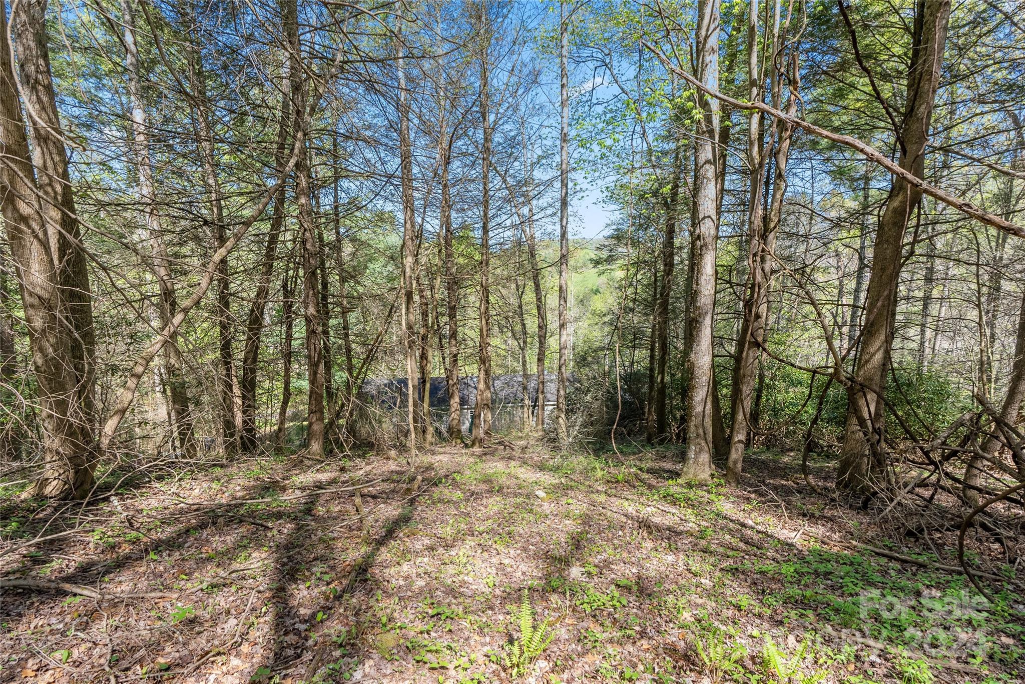 3262 Windswept Ridge Road Marshall, NC 28753 - Photo 38 of 39 a view of outdoor space with trees