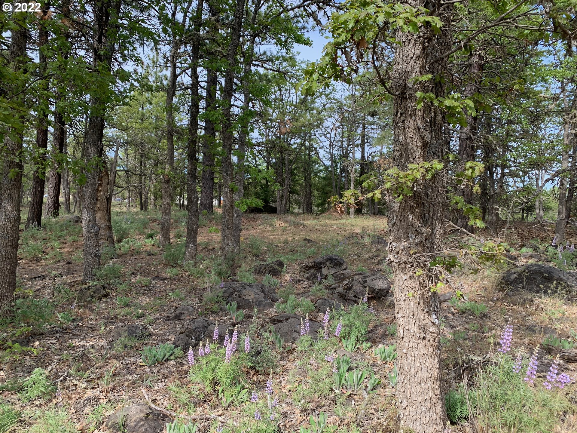 117 Juniper Road Goldendale, WA 98620 - Photo 11 of 18 Gallery Image 11
