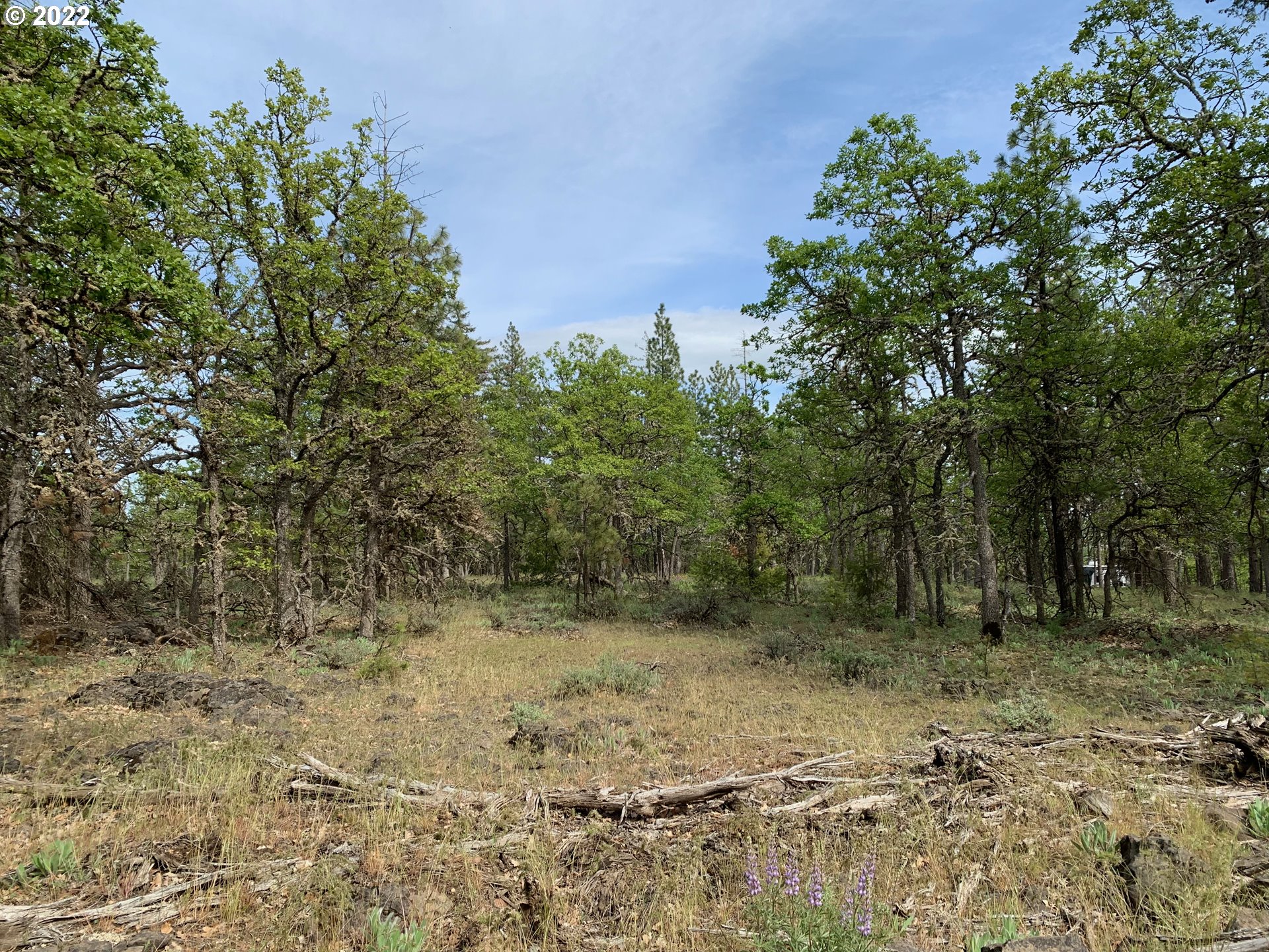 117 Juniper Road Goldendale, WA 98620 - Photo 12 of 18 Gallery Image 12