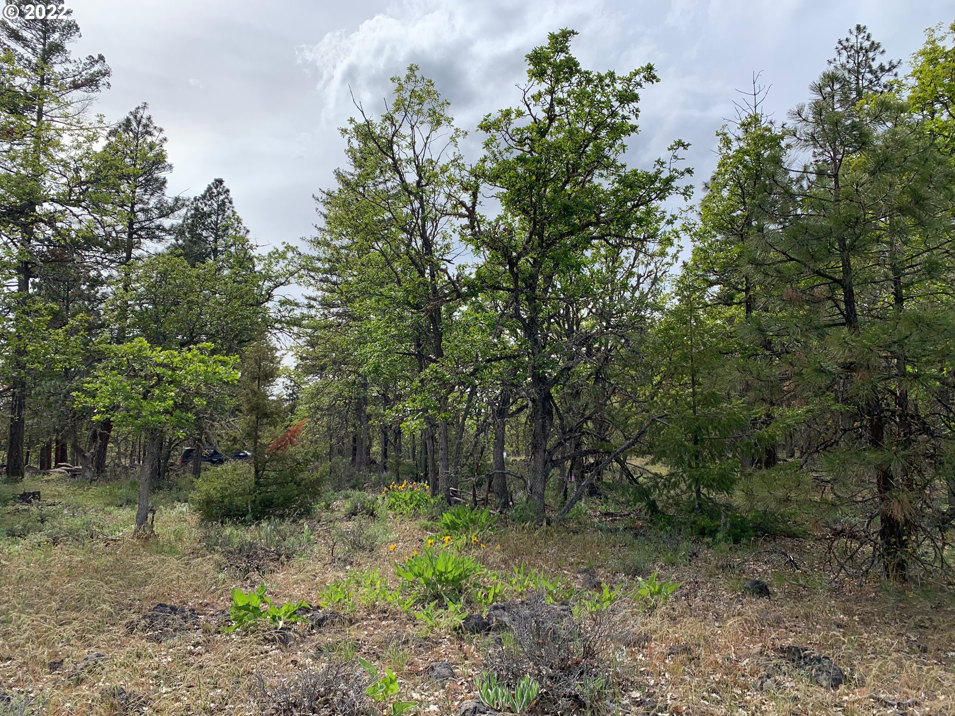 117 Juniper Road Goldendale, WA 98620 - Photo 4 of 18 Gallery Image 4
