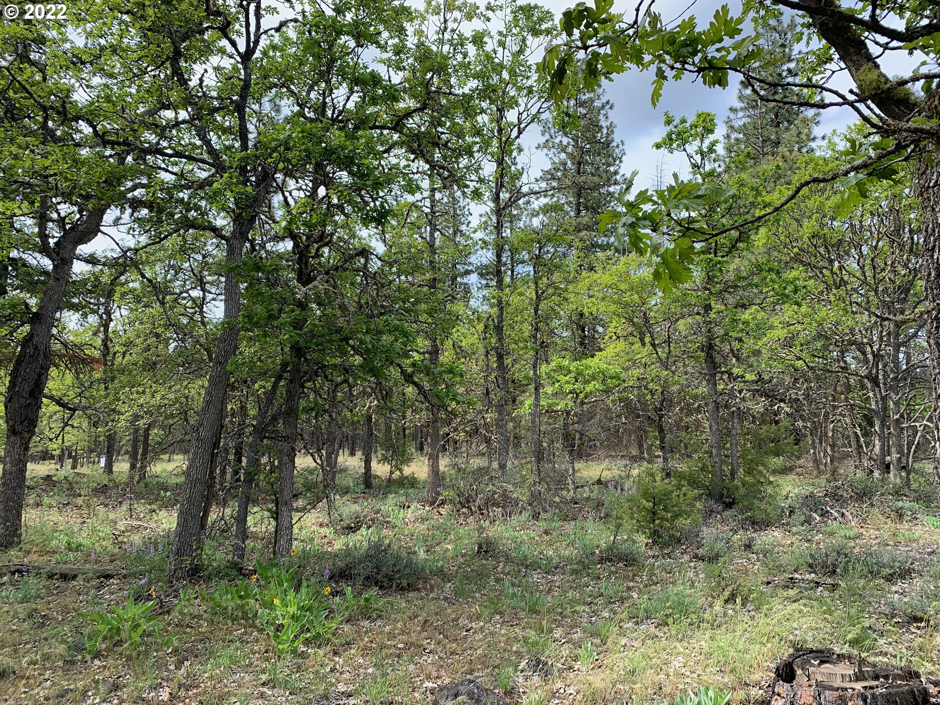 117 Juniper Road Goldendale, WA 98620 - Photo 9 of 18 Gallery Image 9