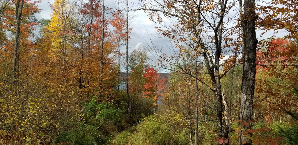 . Boomhower Road Lyon Mountain, NY 12952 - Photo 8 of 25 Gallery Image 8