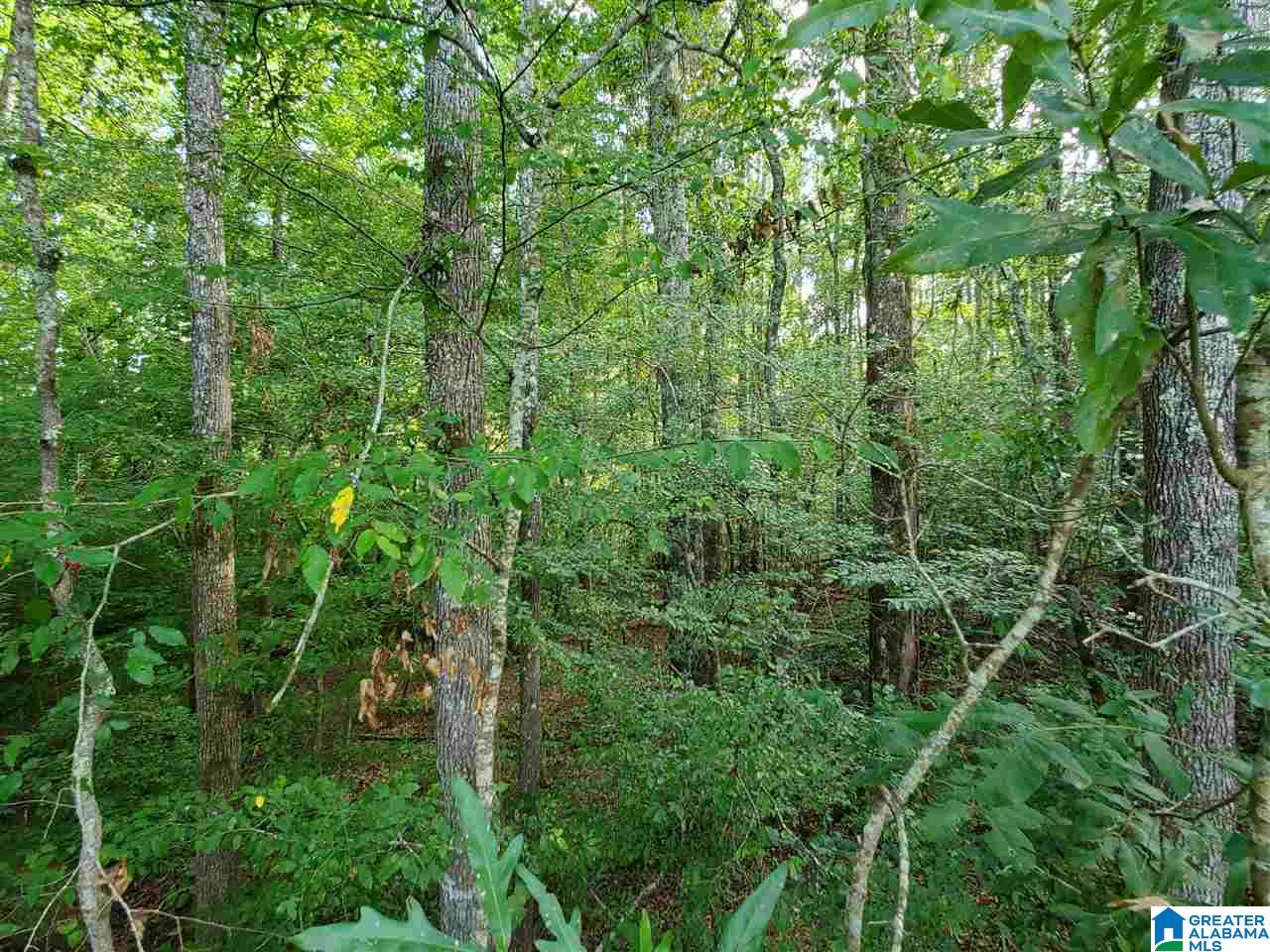 395 Hollow Branch Road Rockford, AL 35136 - Photo 14 of 26