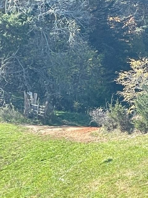 0 McCarter Hollow Road Sevierville, TN 37862 - Photo 5 of 17