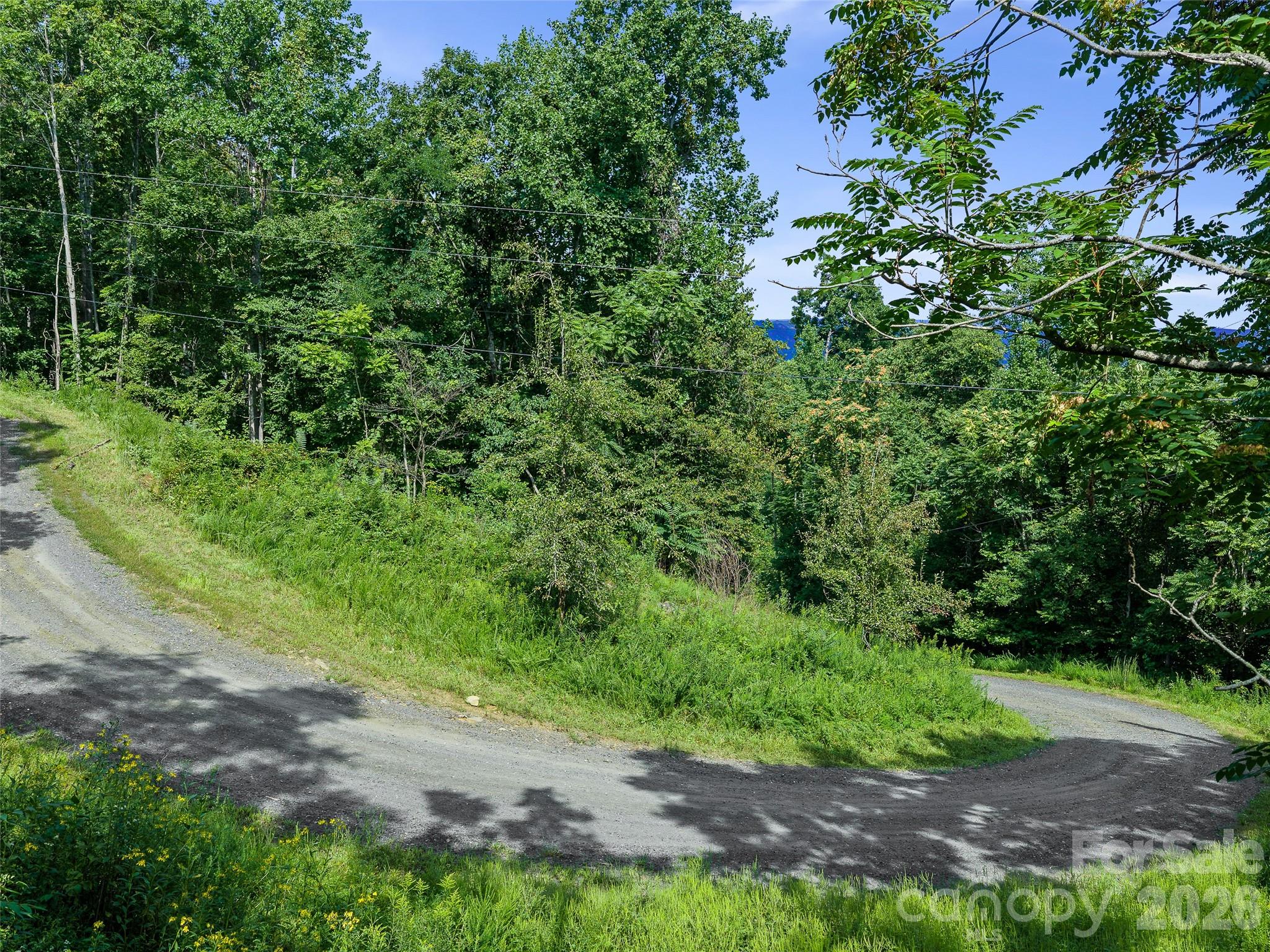 Lot #63-65 Lot#63-65 Bear Ridge Road Bakersville, NC 28705 - Photo 28 of 38 Gallery Image 28