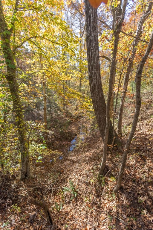 0 Fishers Cove Road Fair Play, SC 29643 - Photo 11 of 13