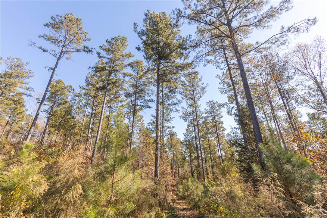 0 Fishers Cove Road Fair Play, SC 29643 - Photo 12 of 13