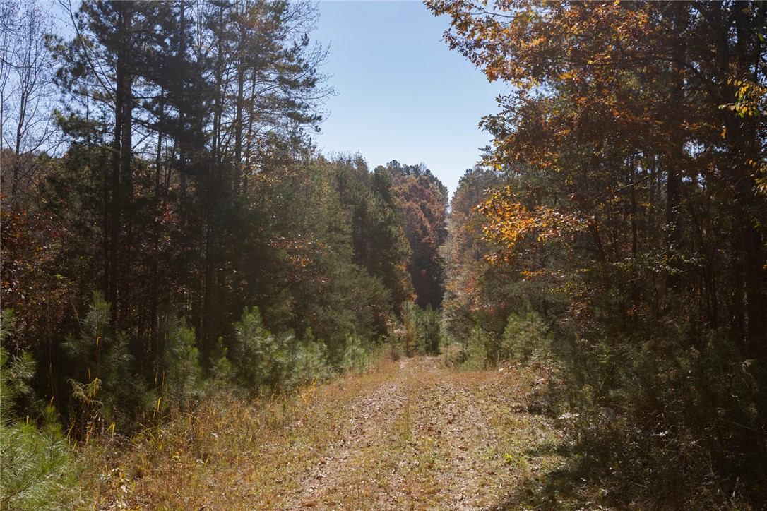 0 Fishers Cove Road Fair Play, SC 29643 - Photo 3 of 13