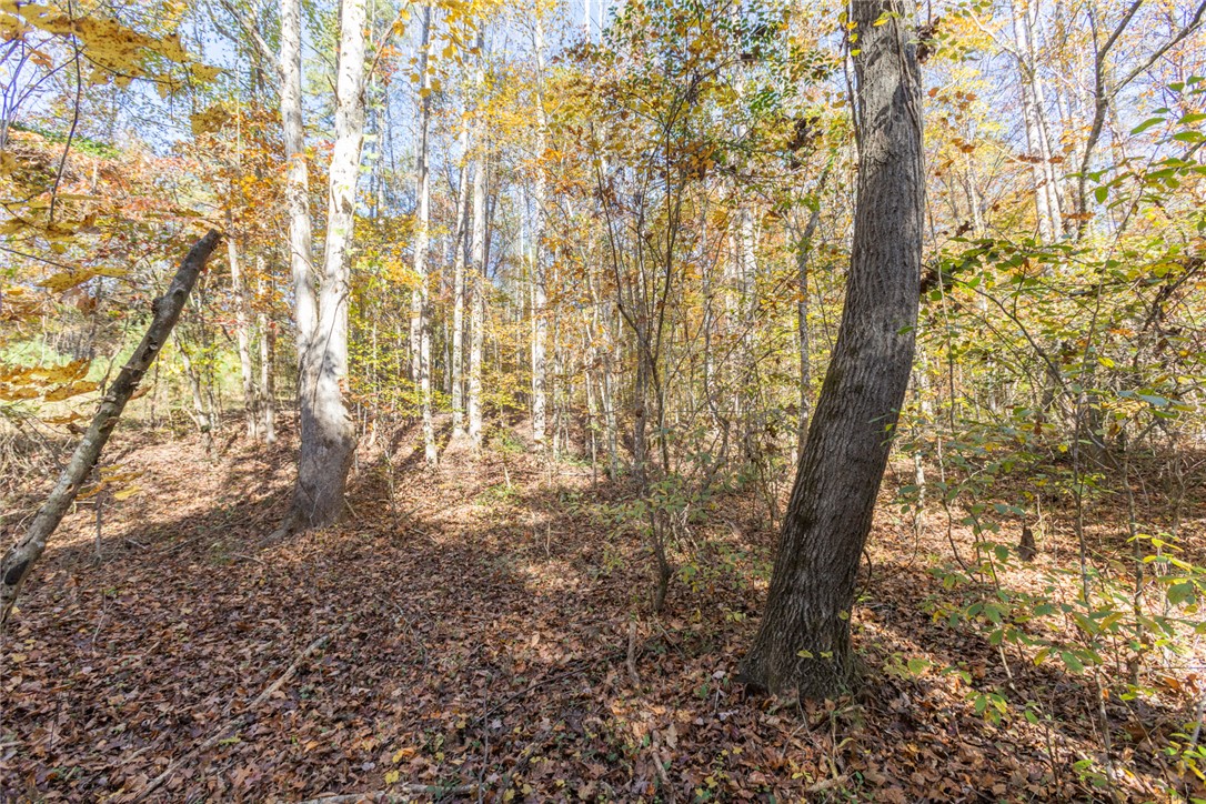 0 Fishers Cove Road Fair Play, SC 29643 - Photo 4 of 13