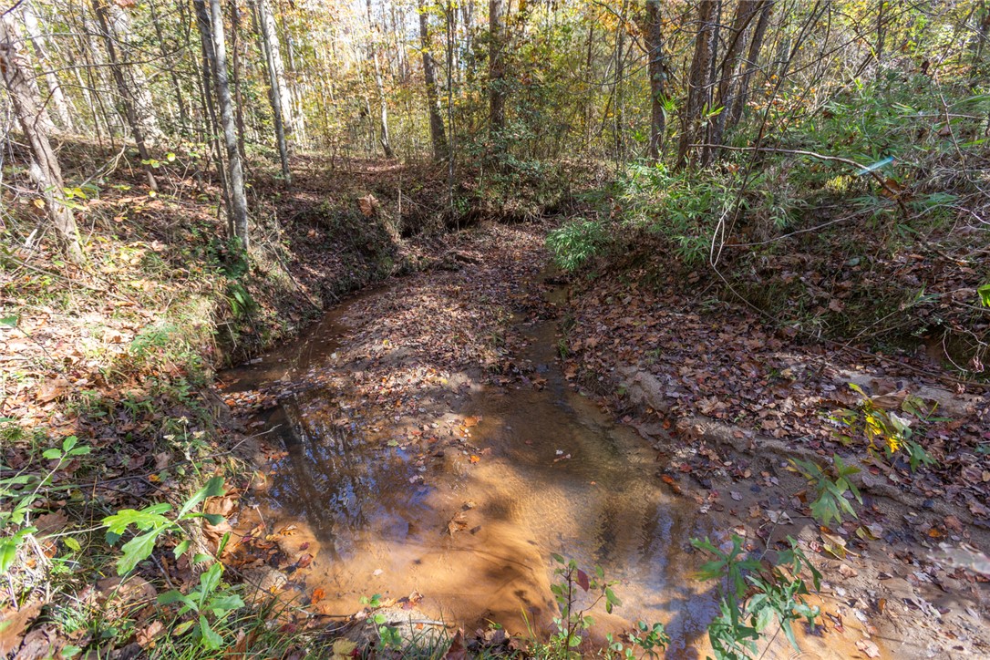 0 Fishers Cove Road Fair Play, SC 29643 - Photo 5 of 13