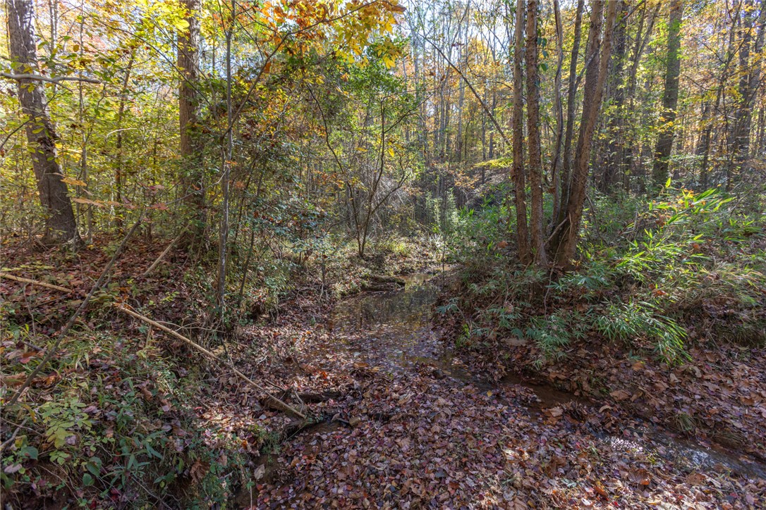 0 Fishers Cove Road Fair Play, SC 29643 - Photo 6 of 13