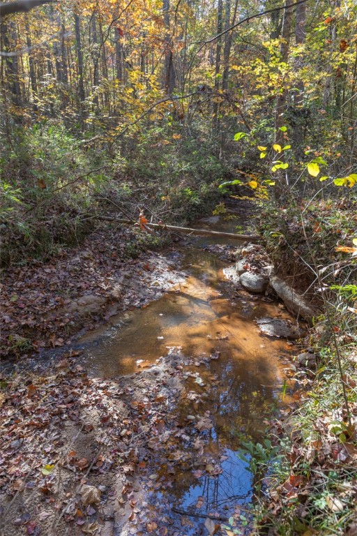 0 Fishers Cove Road Fair Play, SC 29643 - Photo 8 of 13