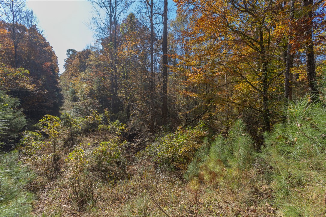 0 Fishers Cove Road Fair Play, SC 29643 - Photo 9 of 13