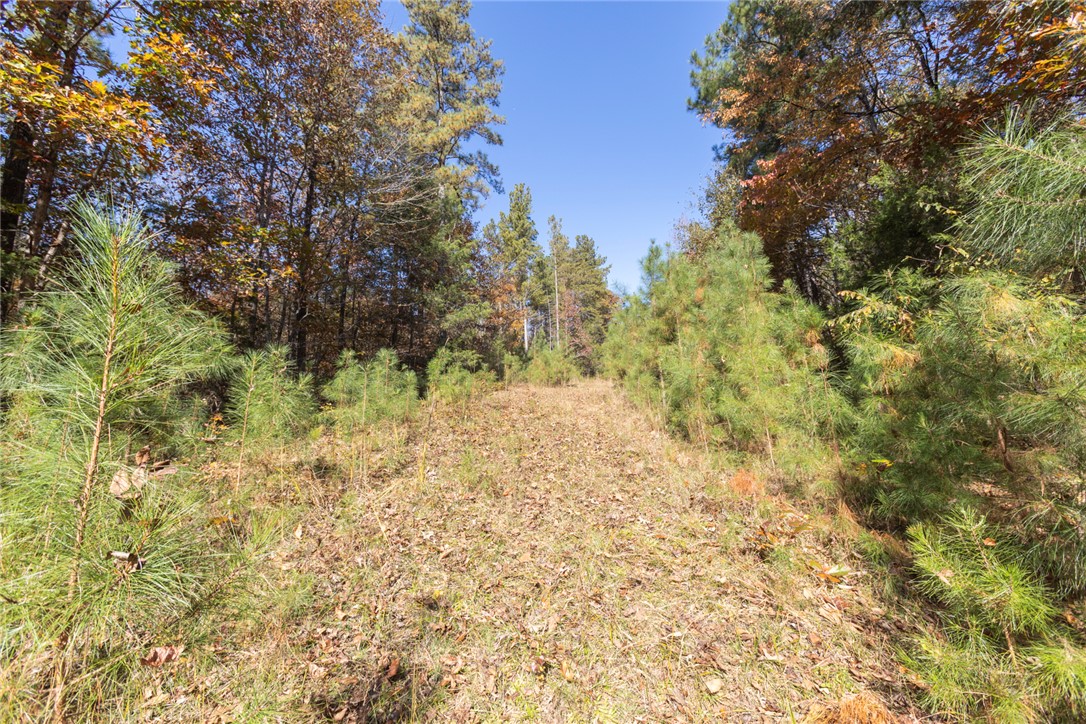 0 Fishers Cove Road Fair Play, SC 29643 - Photo 10 of 13