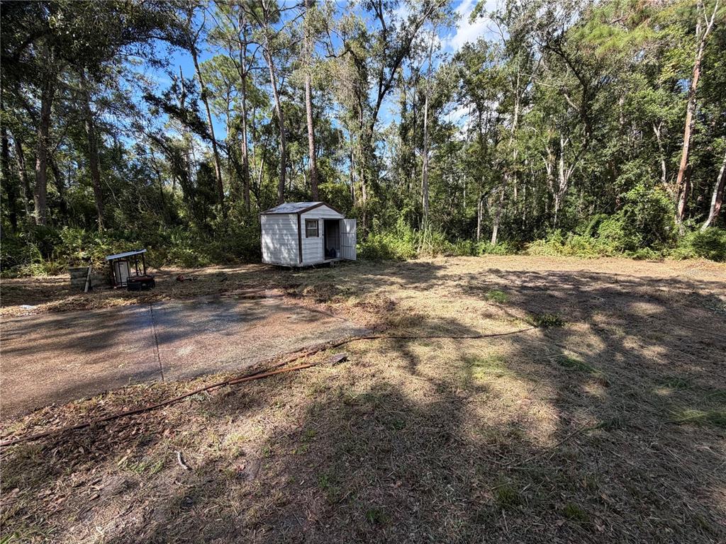 10548 Posen Street New Port Richey, FL 34654 - Photo 2 of 5 a view of a outdoor space with deck and tree