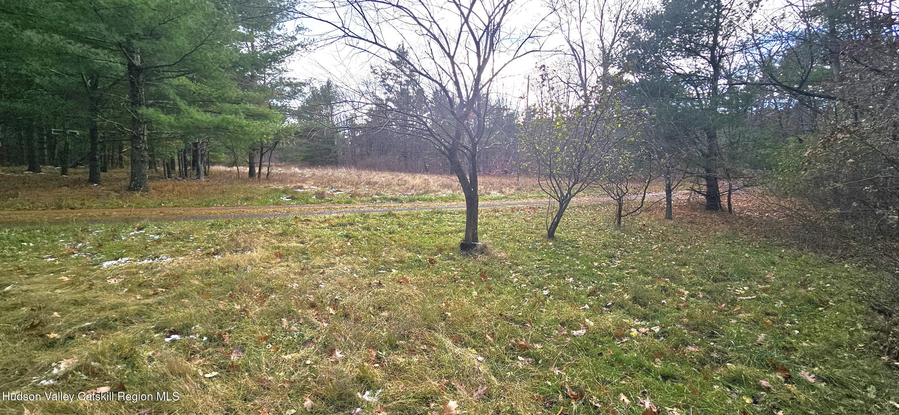 374 North Ridge Road Hannacroix, NY 12087 - Photo 17 of 24 a view of yard with trees