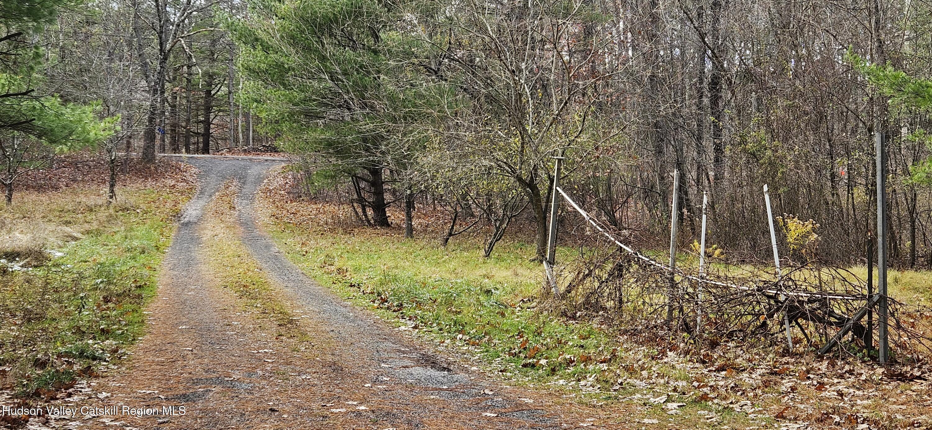 374 North Ridge Road Hannacroix, NY 12087 - Photo 18 of 24 a backyard of a house with lots of green space