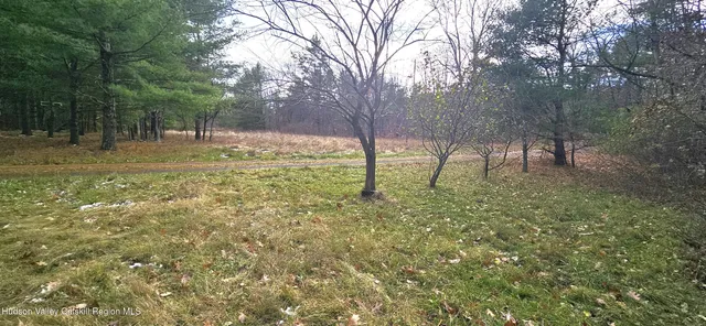 a view of yard with trees