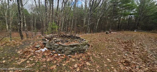 a view of a forest with trees