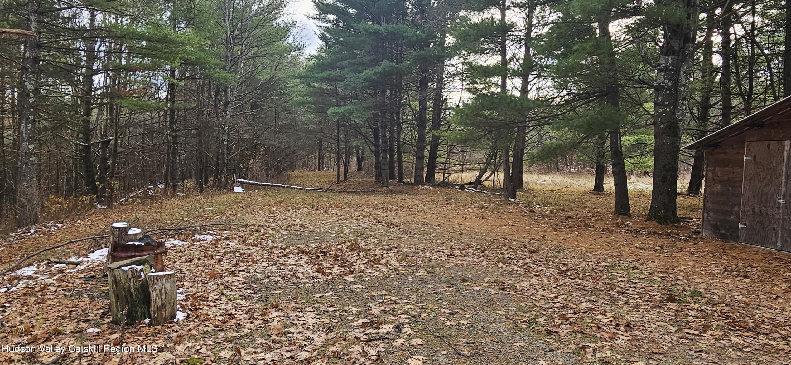 374 North Ridge Road Hannacroix, NY 12087 - Photo 3 of 24 a backyard of a house with lots of green space