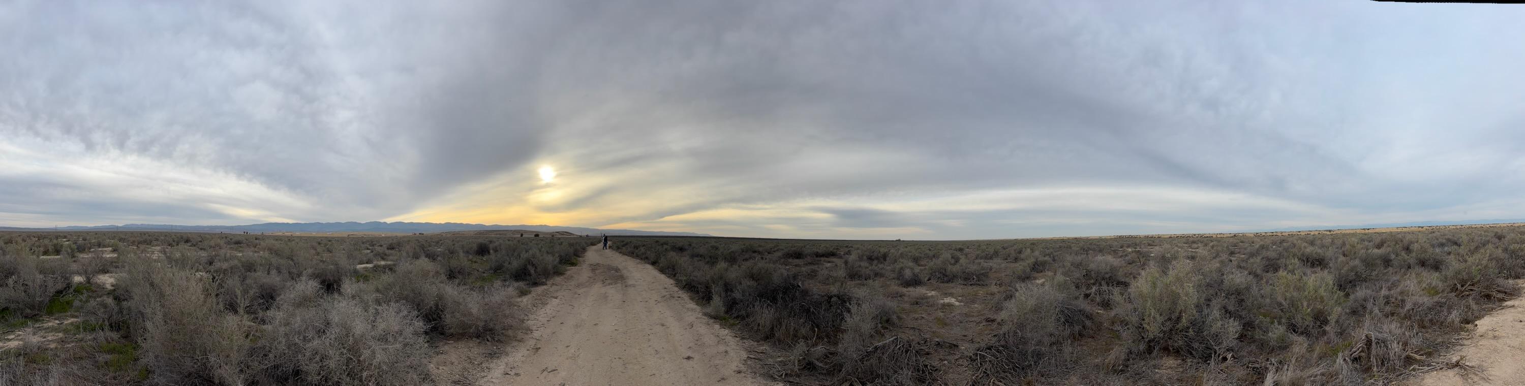 Delfern Road Buttonwillow, CA 93206 - Photo 2 of 3 button