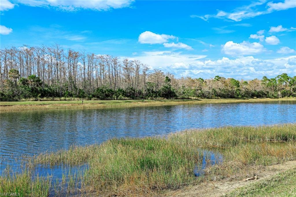 9457 Rialto Drive Naples, FL 34113 - Photo 24 of 42